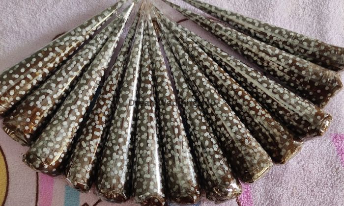 Shivani Mehendi Artist